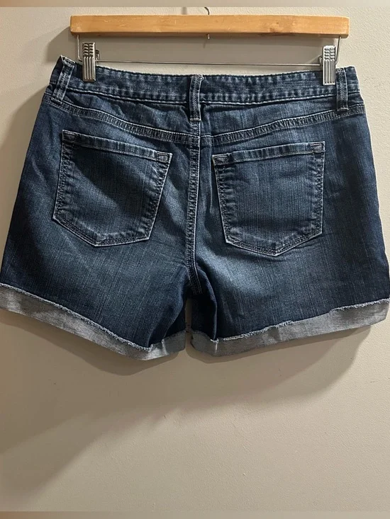 Ann Taylor Loft Short - Picture 2 of 4